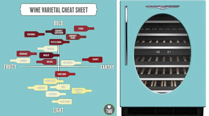 Wine Infographic